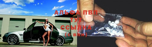 PSILOCYBIN Богданович