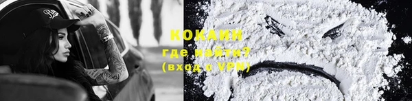 PSILOCYBIN Богданович