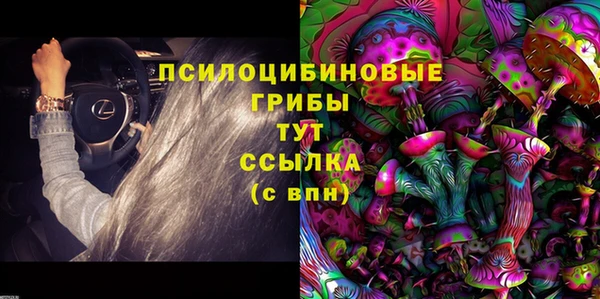 Альфа ПВП Богородск