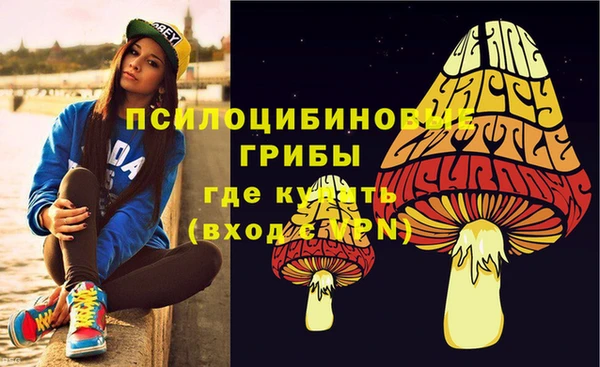 метамфетамин Богородицк