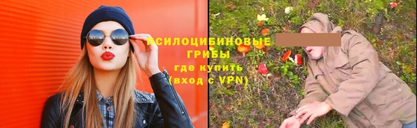 Альфа ПВП Богородск