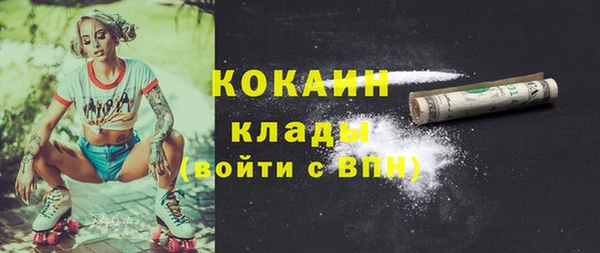 PSILOCYBIN Богданович